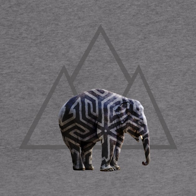 Elephant Tribe Mountain by i2studio